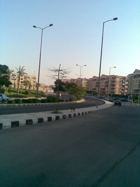 beside the french school 