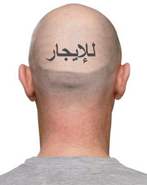 عقل للإيجار